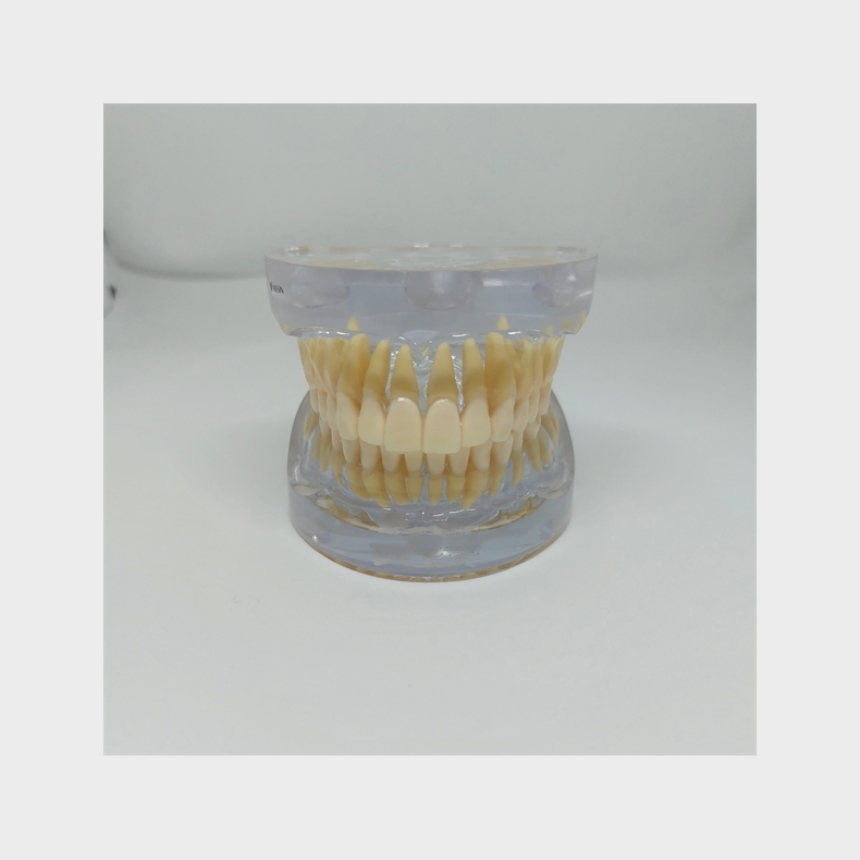 Transparent Kbemodel med Tnder 